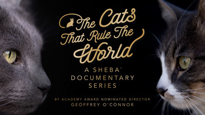 The SHEBA Brand Launches New Docuseries Showcasing the Extraordinary Bond Between Cats and Their Owners - The three-part series takes an unconventional approach to exploring the world of cats and their bonds with people