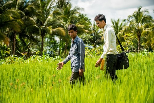 A microfinance loan officer visits a farmer in a rice field in Cambodia
