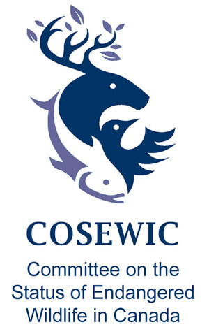 The Committee on the Status of Endangered Wildlife in Canada (COSEWIC) virtual meeting, November 28 to December 4, 2020