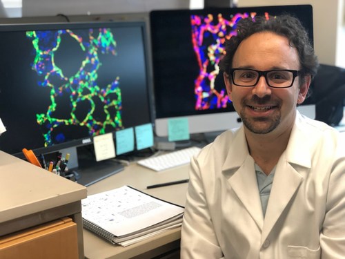 Pulmonary Fibrosis Foundation Scholar, Dr. Jeremy Katzen, has received a National Institutes of Health K08 award for his research in pulmonary fibrosis.