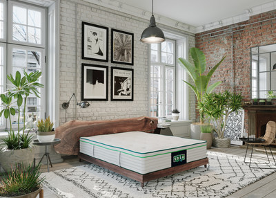Eden Launches Most Affordable Top Quality Organic Mattress In North American Market