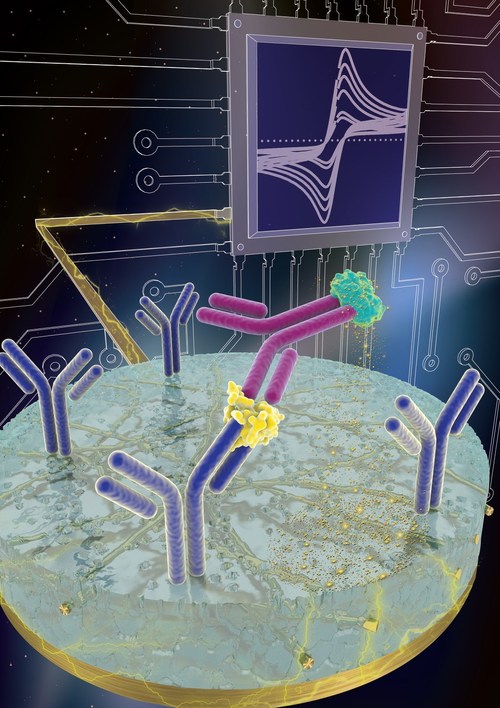 eRapid is an electrochemical sensing platform that uses a novel antifouling coating to enable low-cost, multiplexed detection of a wide range of biomolecules for diagnostics and other applications. Credit: Wyss Institute at Harvard University