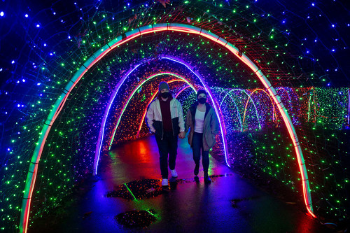 The lighted tunnel is longer than ever at this year's Zoolights event at Point Defiance Zoo and Aquarium in Tacoma, Washington.