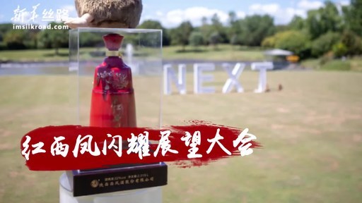 Xinhua Silk Road: Red Xifeng debuts at NEXT Summit (Sky 2020), spreading Chinese liquor culture through cooperation