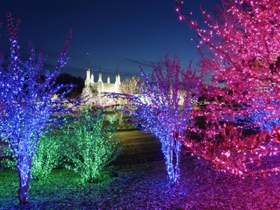 The glow of over 400,000 lights will greet visitors for the drive-thru/no-contact edition of the Festival of Lights at the Washington DC Temple this Christmas season.