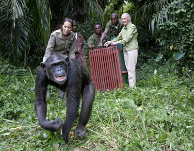Image © Jane Goodall Institute / By Michael Cox