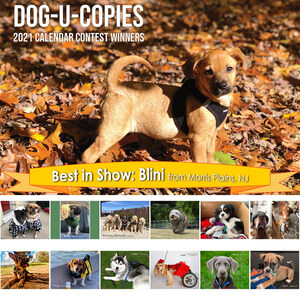 Dog-U-Copies: Dog Photo Contest Winners Find Fame and Free Printing