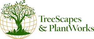 TreeScapes &amp; PlantWorks Acquire Patent for Treelusions® Trees