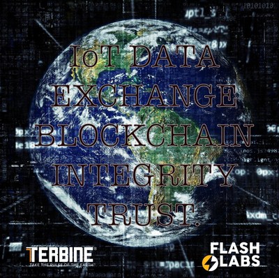 Flash Labs and Terbine partner to offer a trust rich, blockchain enabled global data exchange.