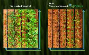 AgPlenus Announces Reaching a 'Lead' Stage in its Novel Mode-of-Action Herbicide Program