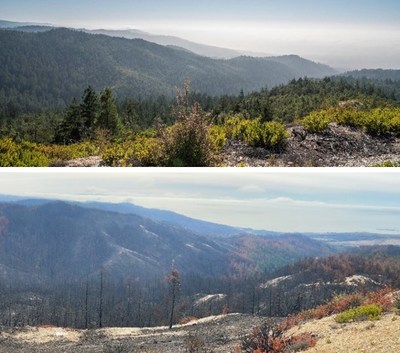 Views of Cascade Creek before the CZU Lightning Complex fires (top) and after the fires (bottom). Top photo by Victoria Reeder, Save the Redwoods League. Bottom photo by Eco-Ascension Research and Consulting.