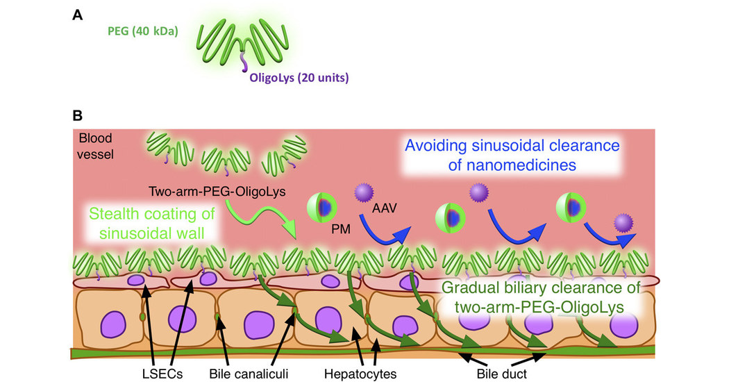 Vakrangee comprova transpar&ecirc;ncia ambiental e atinge classifica&ccedil;&atilde;o B da Carbon Disclosure Project (CDP) por pr&aacute;ticas ambientais, superiores &agrave; m&eacute;dia do setor