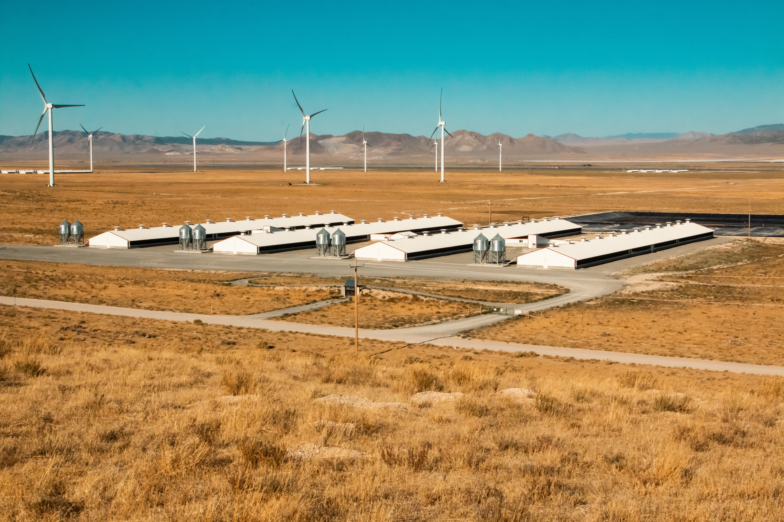 Dominion Energy Rebates Utah Nest