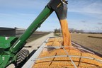 After unpredictable year, farmers find predictably strong yields at harvest