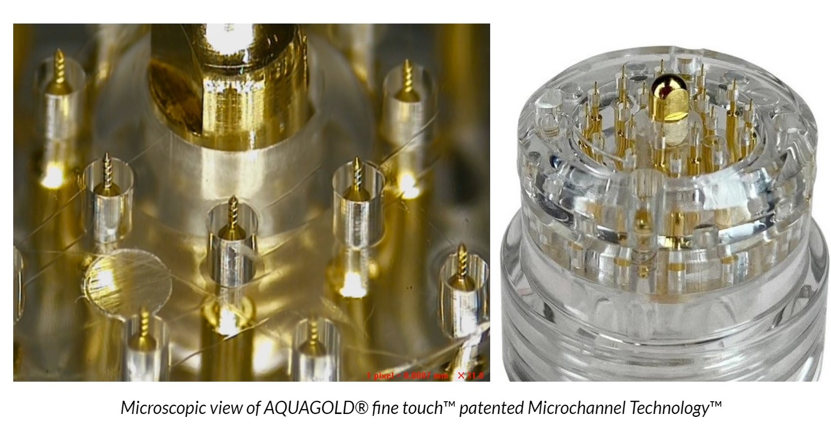 European Union Intellectual Property Office Revokes Counterfeiter's Fake AQUAGOLD® Design Registration and Orders Payment to Aquavit of All Legal Fees and Costs - Vimarsana News