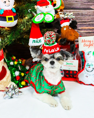 PetSmart, the largest pet specialty retailer, is launching its first-ever Spoil & Snap Sweeps with a $50,000 grand prize to spoil your pet, plus virtual photos with Santa Claus to help pet parents capture the spirit of the season. (Image Credit: @tinkerbellethedog)