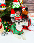 PetSmart Celebrates the Season of Spoiling™ with Virtual Santa Photos and Sweepstakes