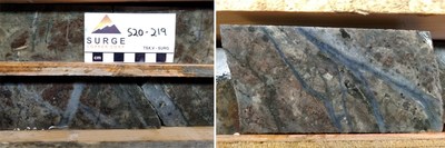 Mineralized drill core from hole S20-219. Left, 425 metres depth, biotite hornfels with disseminated and fracture-controlled pyrite-chalcopyrite-pyrrhotite cut by quartz-chalcopyrite-molybdenite veins. Right, 430 metres depth, mineralized zone cut by quartz-molybdenite-chalcopyrite veins.