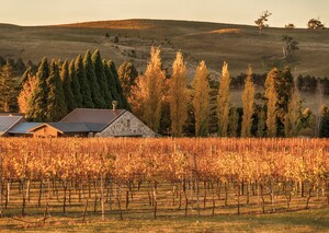 Destination New South Wales - Aussie Wine Weekend: Explore the Southern Highlands' Food &amp; Wine Trail