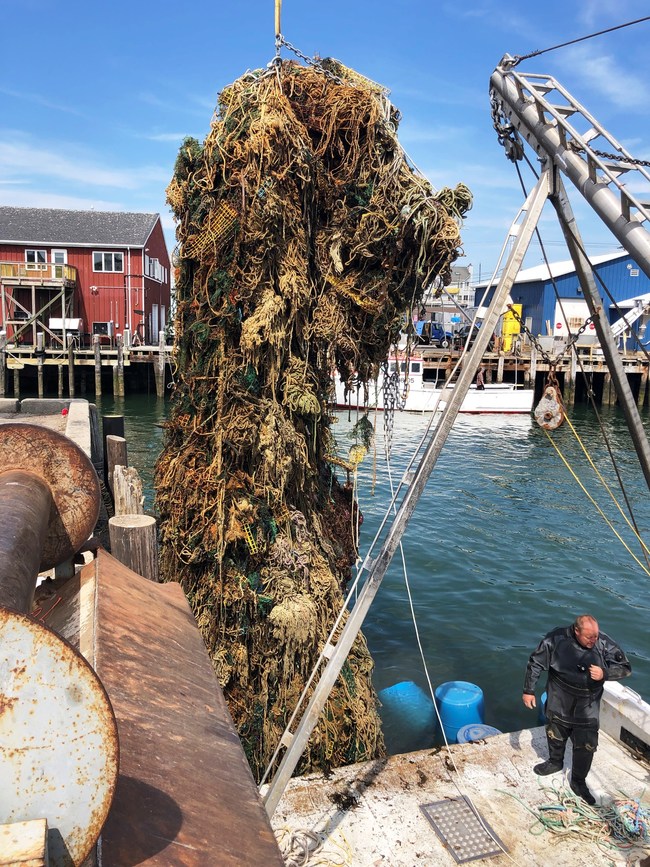 11th Hour Racing grantee Ocean Conservancy and its Global Ghost Gear Initiative® will conduct ghost gear removal, prevention, and recycling initiatives with fishers in the Gulf of Maine and Narragansett Bay. Credit: Gulf of Maine Lobster Foundation
