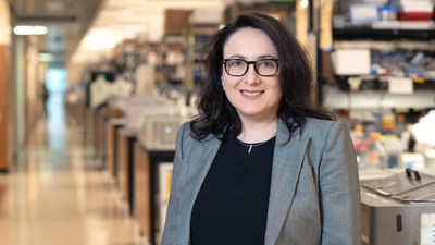 Katerina Akassoglou and her team at Gladstone Institutes discover that microglia cells constantly survey the brain to prevent spontaneous seizures.