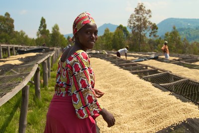 Root Capital - Coffee drying team member in Africa