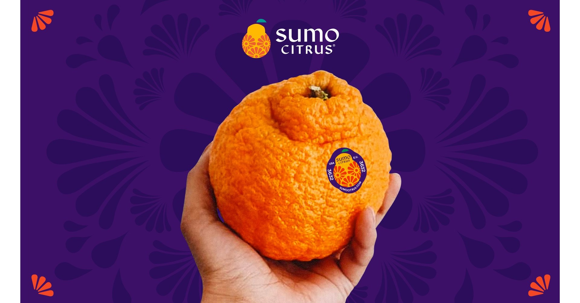 La mandarine sumo