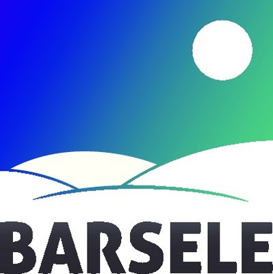 Barsele Minerals Corp. logo (CNW Group/Barsele Minerals Corp.)