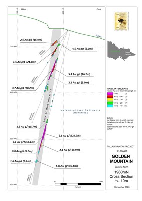 Figure 1.0 Golden Mountain Drill Hole Section 1980N and Mineralisation (CNW Group/Fosterville South Exploration Ltd.)