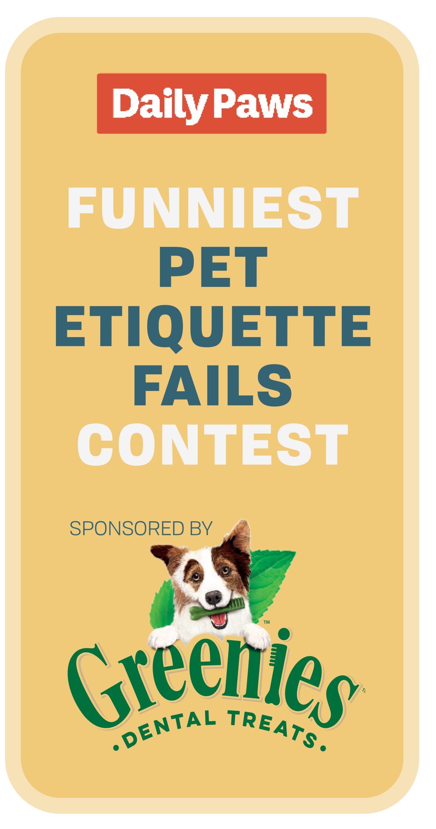 Meredith Corporation's Daily Paws Names Besa the Bulldog Winner of  Inaugural Pet Etiquette Fails Photo Contest Sponsored by Mars Petcare's  GREENIES™ Brand - Dec 21, 2020