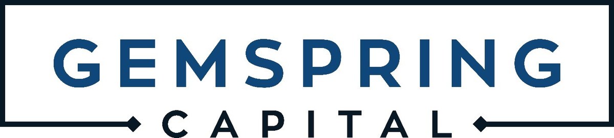 Gemspring Capital Acquires Security 101 - Vimarsana News