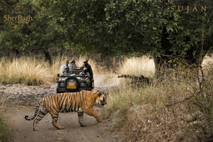 SUJÁN Sher Bagh, Ranthambhore Wins The Title Of Favourite Safari Lodge In India At The 10th Anniversary Special Edition Of Condé Nast Traveller Readers' Travel Awards