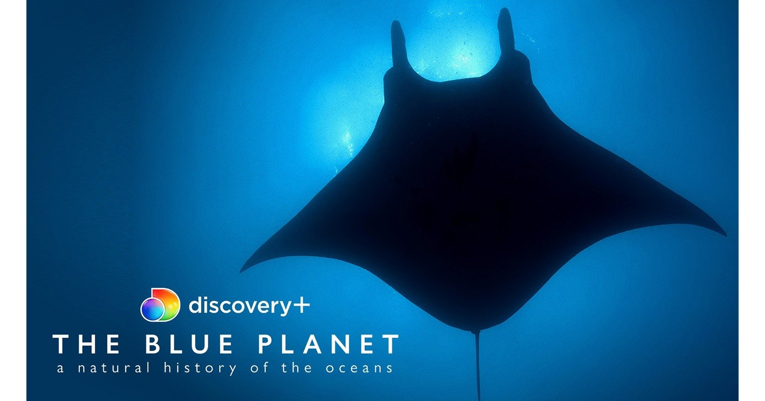 Discovery Inc. partners with STARZPLAY to launch discovery+ in MENA - Vimarsana News