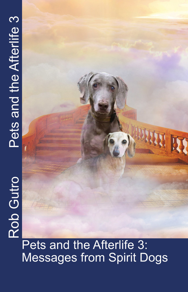 New Book "Pets and the Afterlife 3 Message from Spirit Dogs" Follows