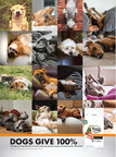 The NUTRO™ Brand Unveils "Dogs Give Everything 100%" Campaign in Celebration of Dogs Living Life to the Fullest