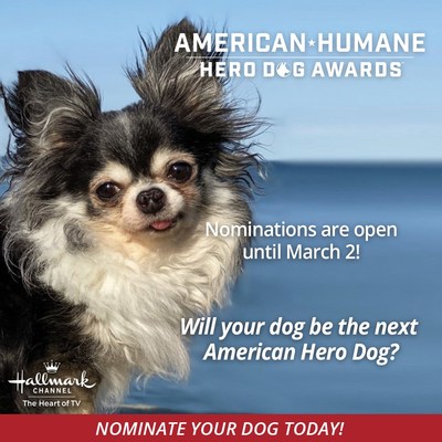 Nominations open today for the 2021 www.HeroDogAwards.org.