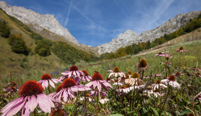 Le Domaine Clarins, farm and open laboratory located in the French Alps.