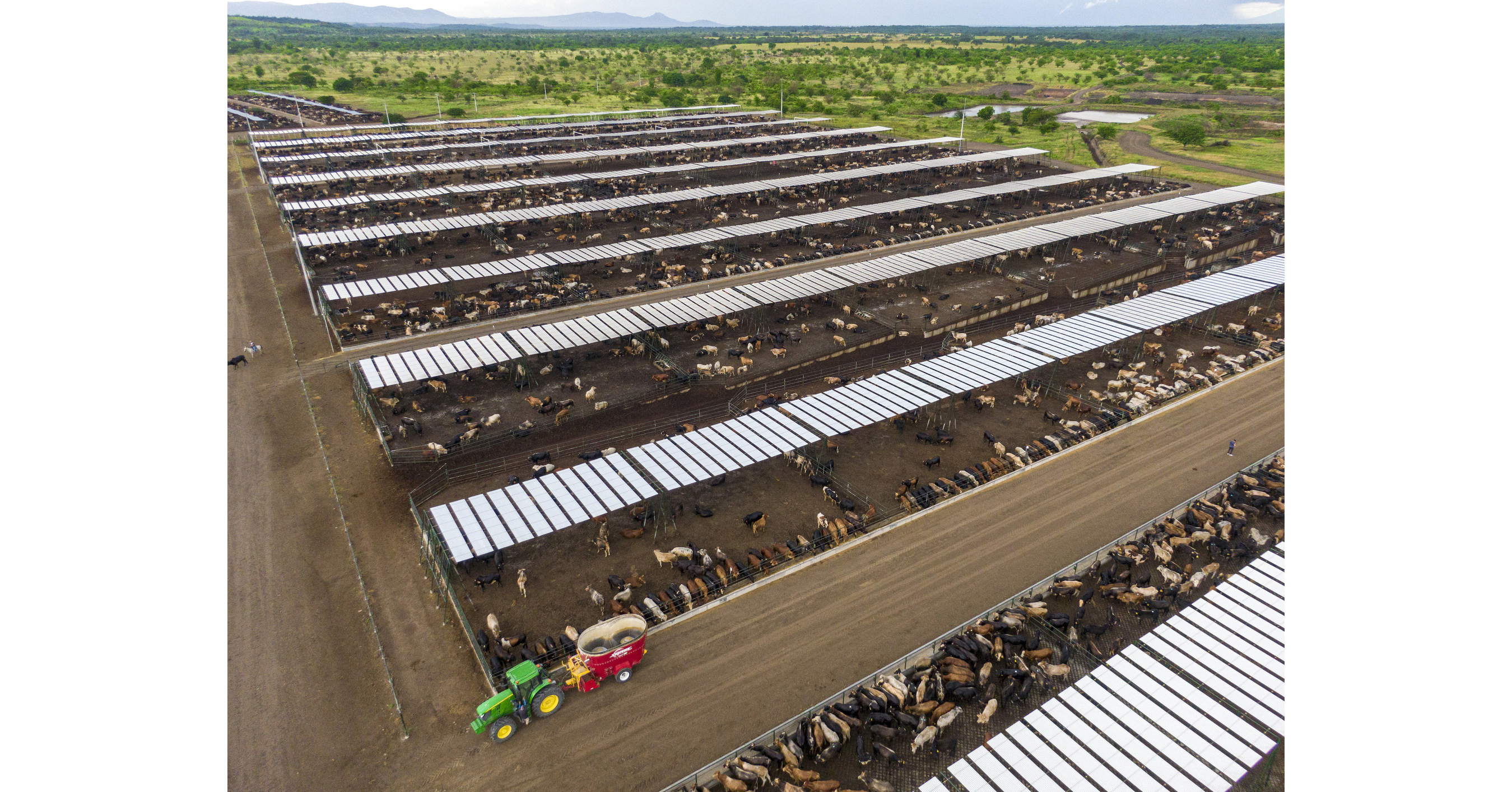 Leading Nicaraguan Beef Processor and Exporter 'Nuevo Carnic' Expanding