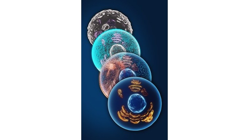 Turn Biotechnologies Licenses Revolutionary Technology to Unwind the Effects of Aging at a Cellular Level - Vimarsana News
