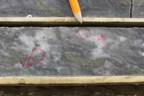 Trillium Gold Encounters Visible Gold in 3 of 5 Drill Holes. More High-Grade Results from Drilling at Newman Todd