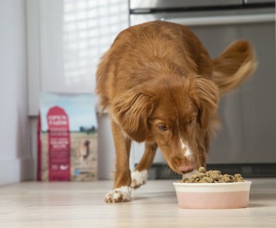Dog eating from bowl filled with Open Farm pet food. (CNW Group/Open Farm Pet Food)