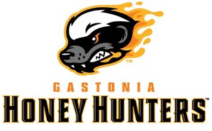 Gastonia Professional Baseball Announces Team Name, Unveils Brand