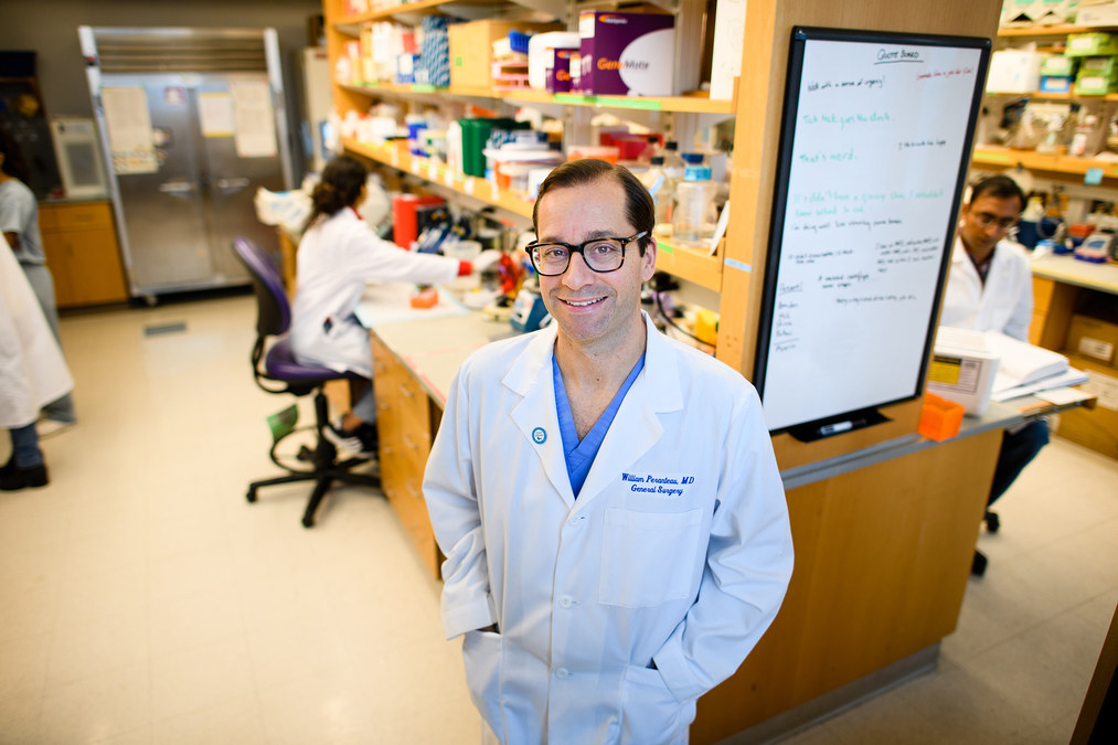 CHOP and Penn Researchers Identify Nanoparticles that Could Be Used in Therapeutic mRNA Delivery before Birth - Vimarsana News