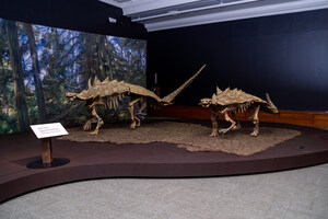 Carnegie Museum of Natural History Announces New Lineup of Virtual Experiences