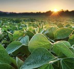 Organic Corn &amp; Soybeans Are Now Able to Be Hedged for the First Time