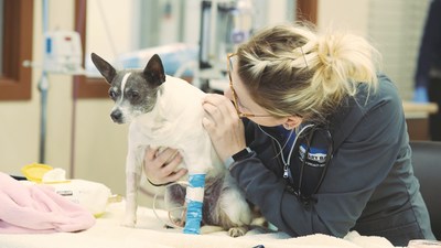 Boundary Bay Veterinary Specialty Hospital - located in Langley, BC - is now one of only two VECCS certified Level 1 facilities in Canada. (CNW Group/Boundary Bay Veterinary Specialty Hospital)