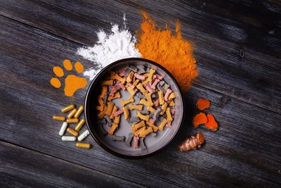 WACKER provides unique solutions for creating powerful supplement formulations. Now WACKER is expanding into the pet supplement market to offer powerful bioactives for innovative pet supplement creations. Photo: WACKER