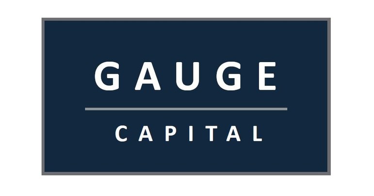 Gauge Capital Announces Strategic Investment in Streamline Healthcare Solutions