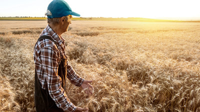 Farmer in Wheat Field