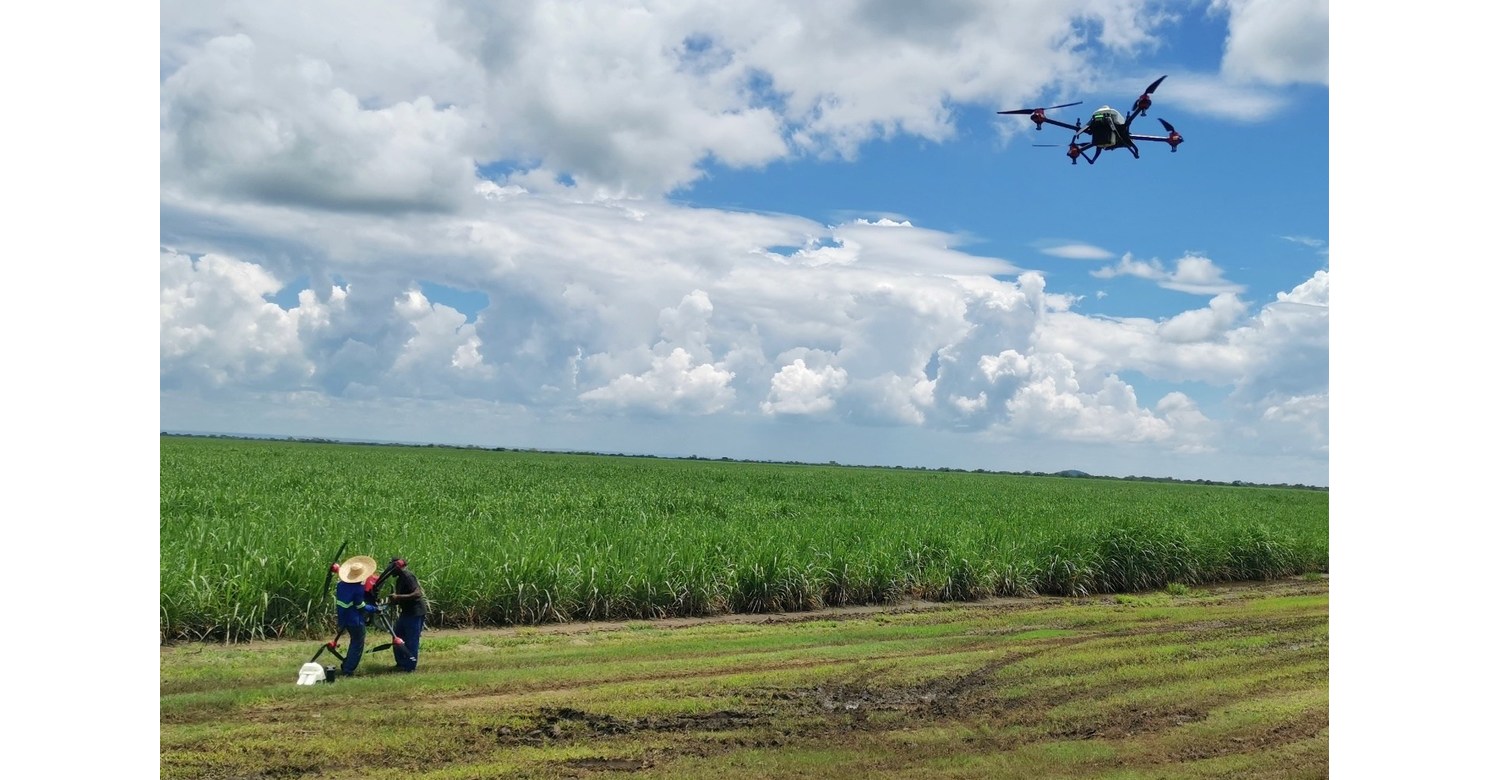 XAG Suggests Drones Could Outsmart Locust Swarms at Night